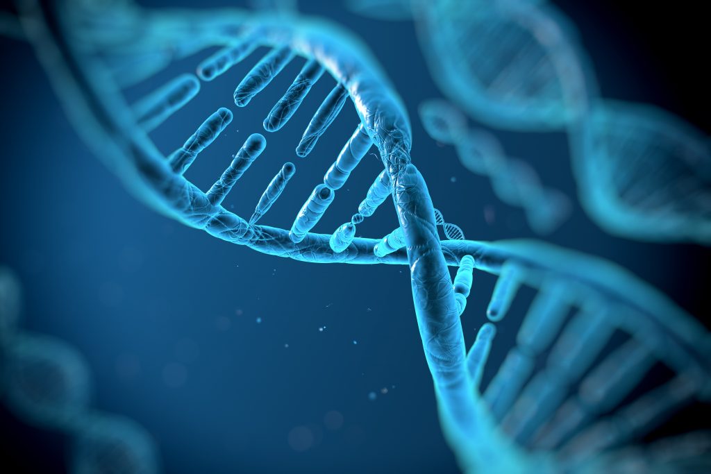 PCR