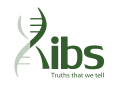 KIBs Logo